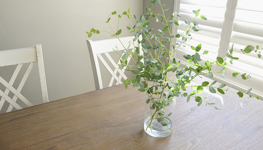 �֥ӥ����������פȿ��Ǥ��줿����ʹ������ʤ���̾���԰¡��ɤ���µ���